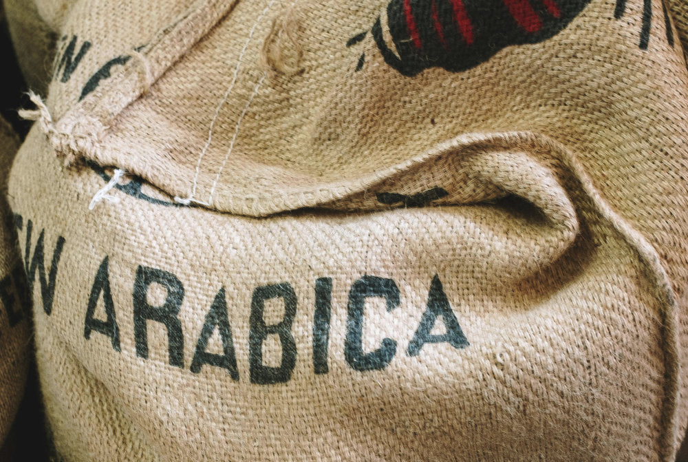 Understanding the Distinctive Traits of Arabica and Robusta Coffee Beans