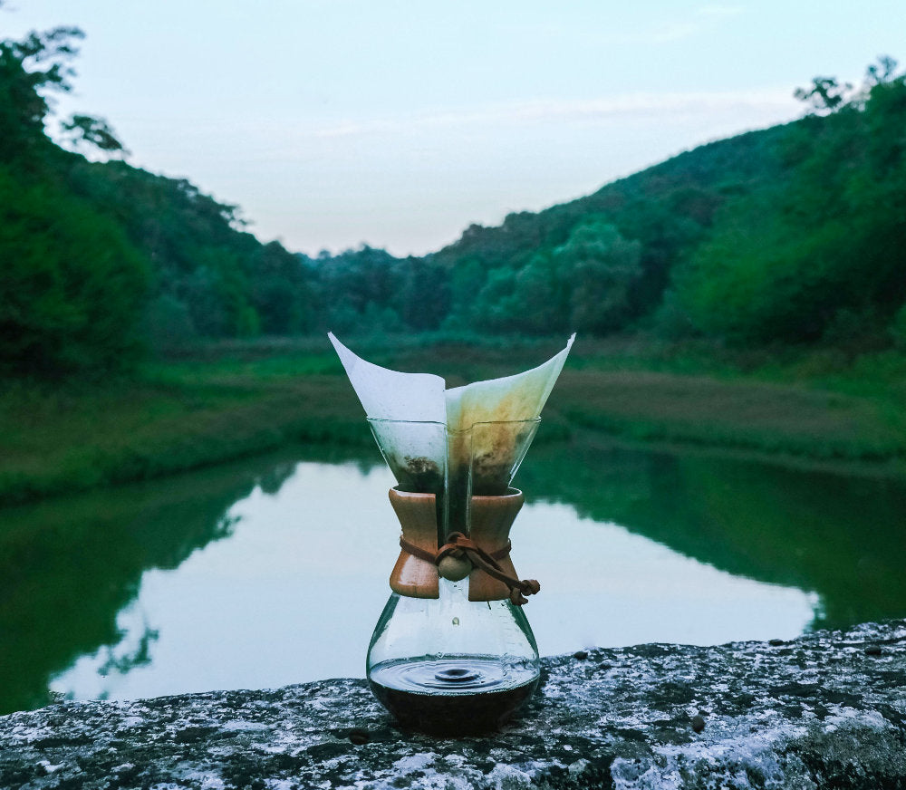 Unveiling the Rich Diversity of Coffee Bean Varieties and Origins