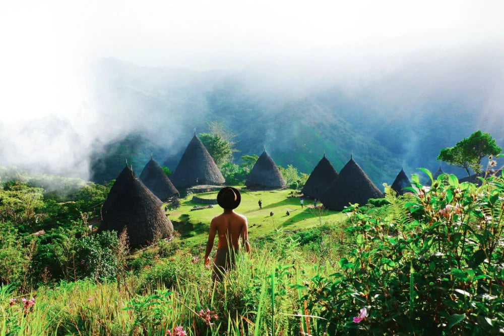 Exploring Single Origin Coffee: A Journey Through Flavorful Terroirs