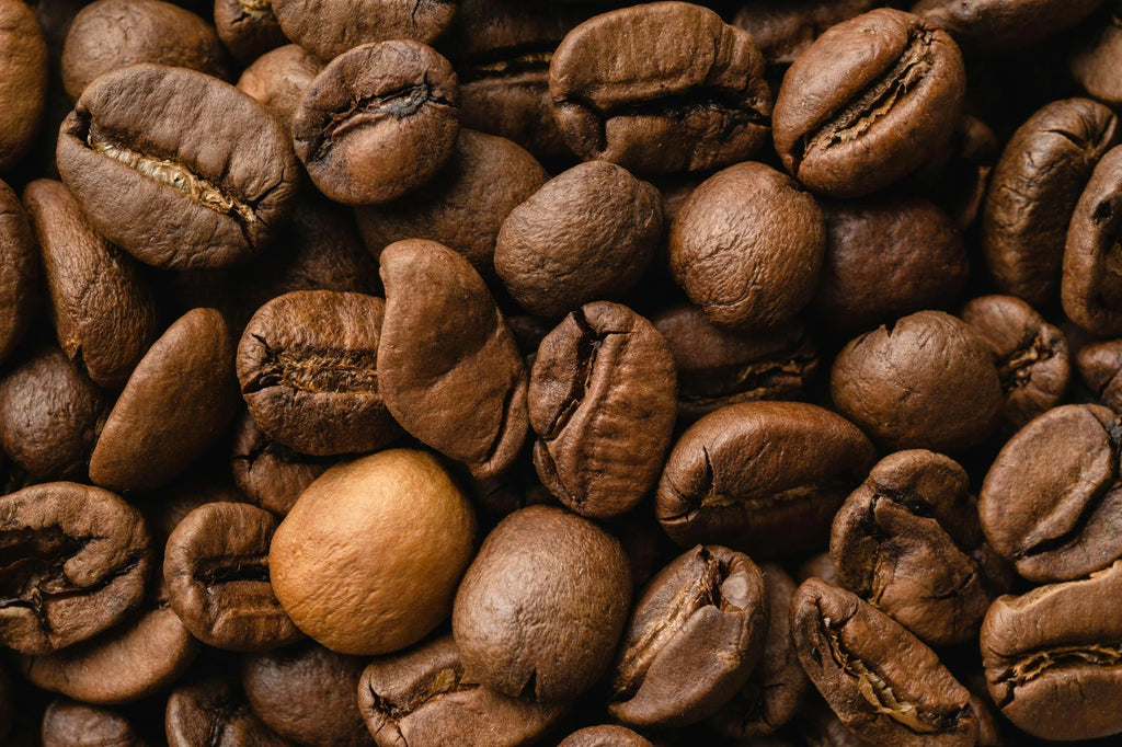 Why Specialty Coffee Beans Are Not Oily