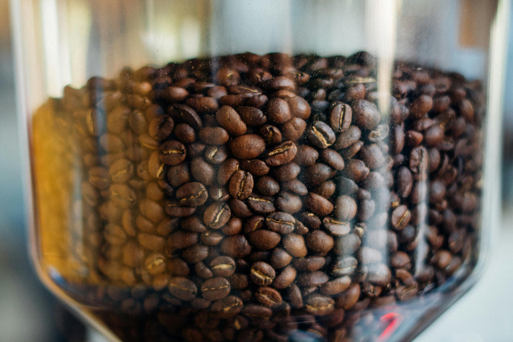 Why Whole Bean Coffee Reigns Supreme: A Guide to Elevating Your Coffee Experience