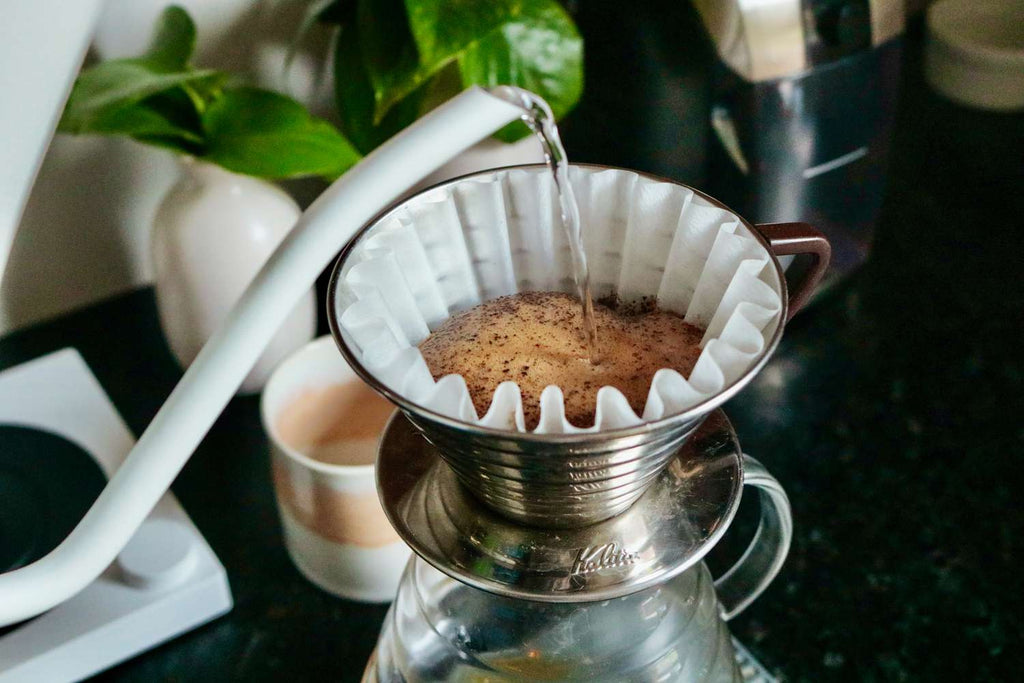 Discover the Best-Tasting Coffees: Explore Flavor, Craft, and Culture with Elephas Coffee