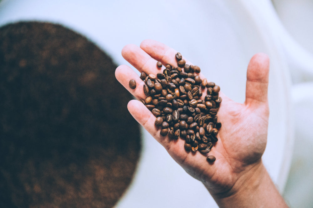 Specialty Coffee vs. Commodity Coffee: What’s the Difference?