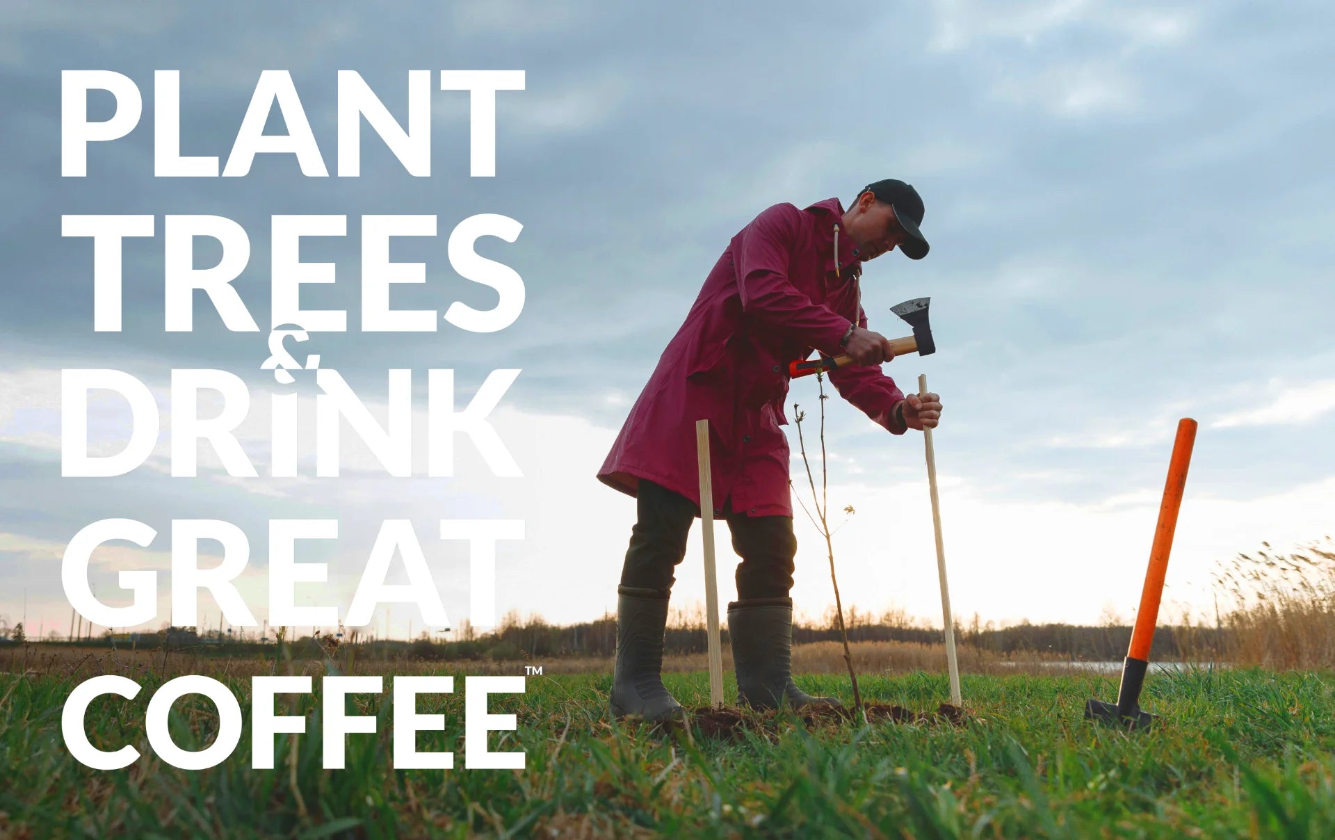 BreakfastBoost - Curated Coffee Blend from Elephas Coffee