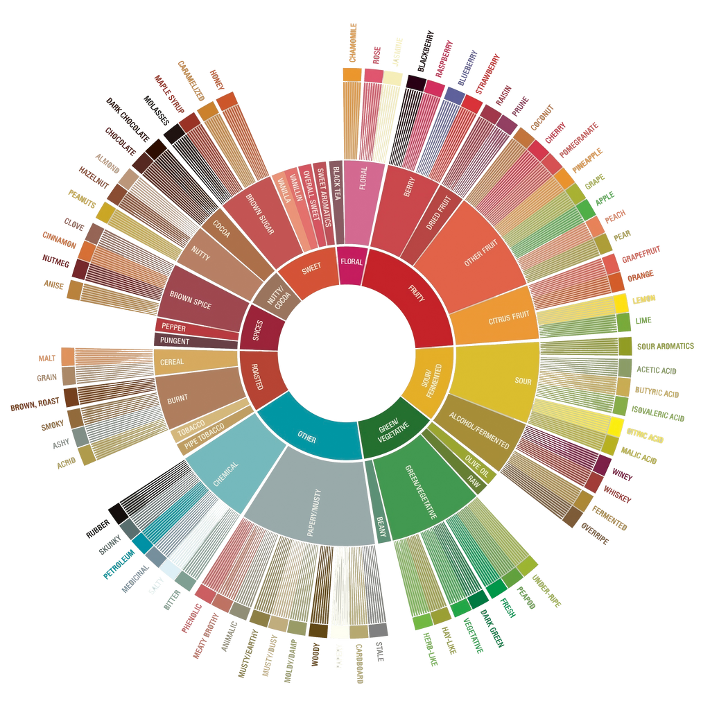 The SCA Coffee Wheel: Unveiling the Flavor Palette of Coffee