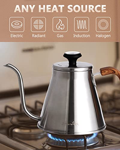 Harriet Gooseneck Kettle Pour Over Kettle with Built-in Thermometer